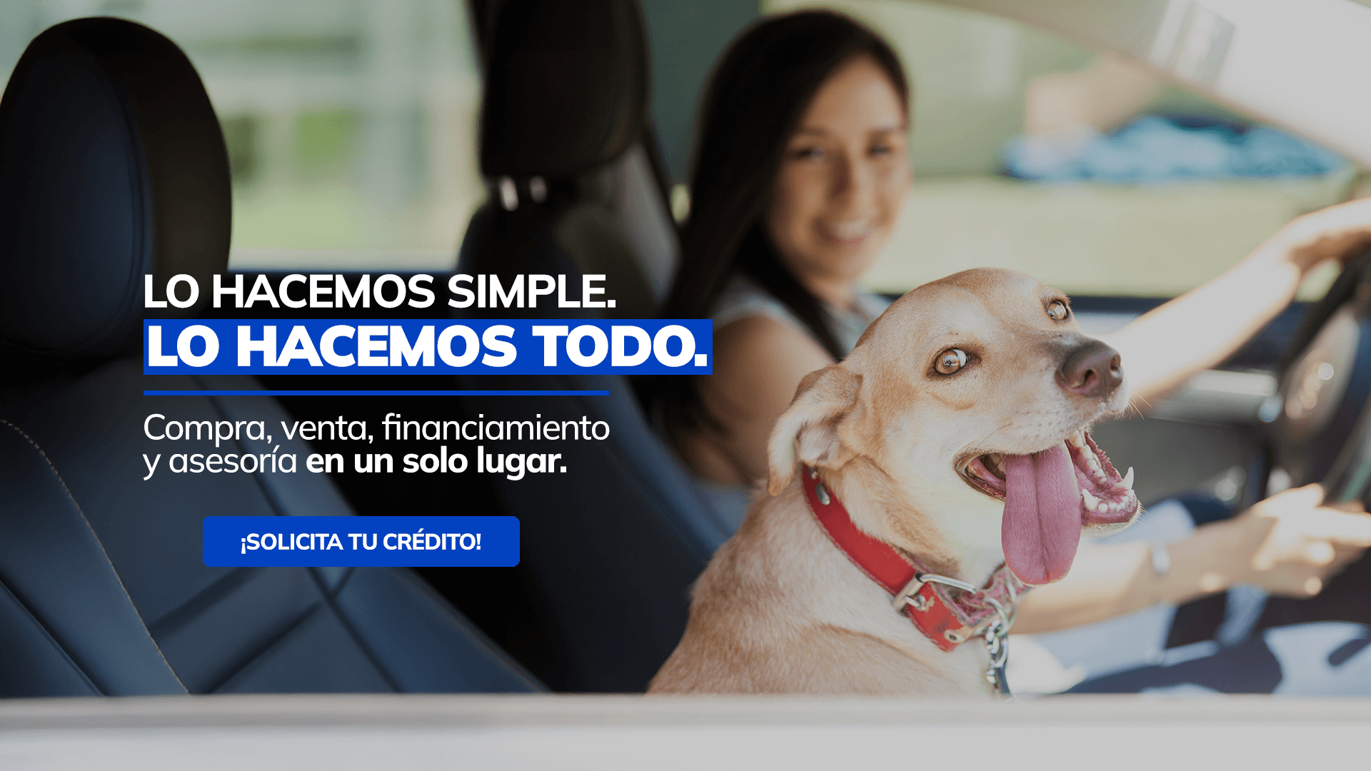 Mujer y perro feliz en el coche. Banner de servicios automotrices que ofrece compra, venta, financiamiento y asesoría en un solo lugar. Palabras clave: Crédito vehicular, auto, mascota
