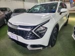 SPORTAGE EX DVGT 4X4 1.6 AUT